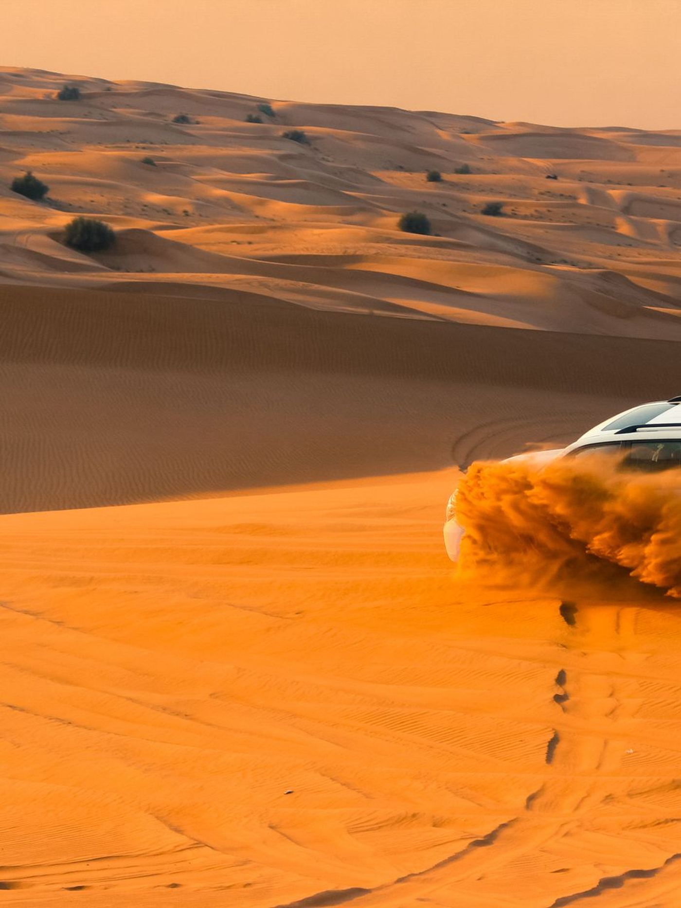 DMC em Dubai: o que é e como escolher a operadora